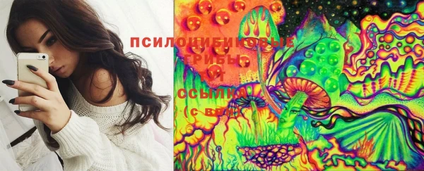 MESCALINE Горно-Алтайск