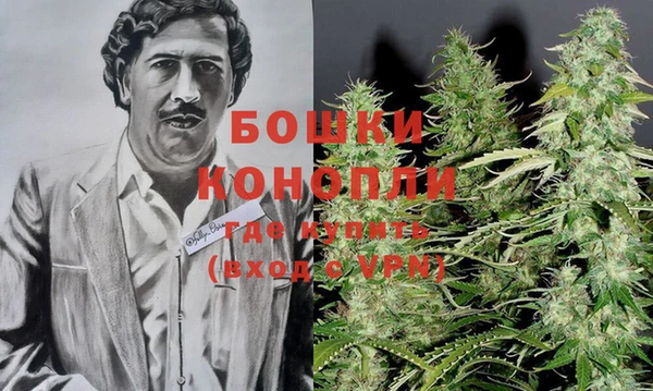 круглые Гусев