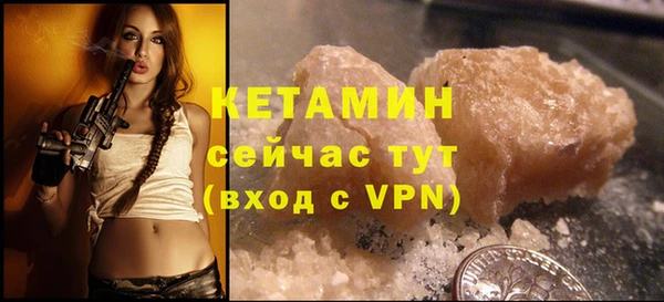гидра Вяземский